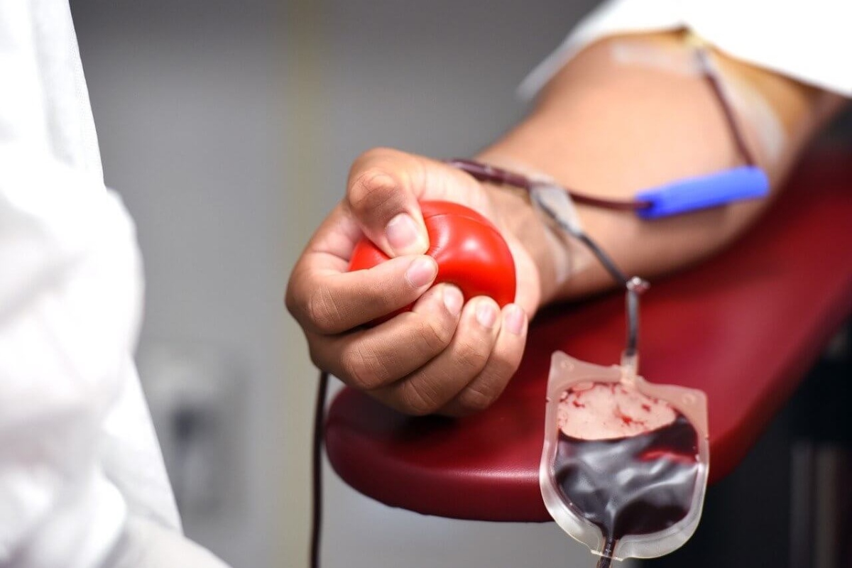 Inserção da captação de doadores de sangue no Brasil