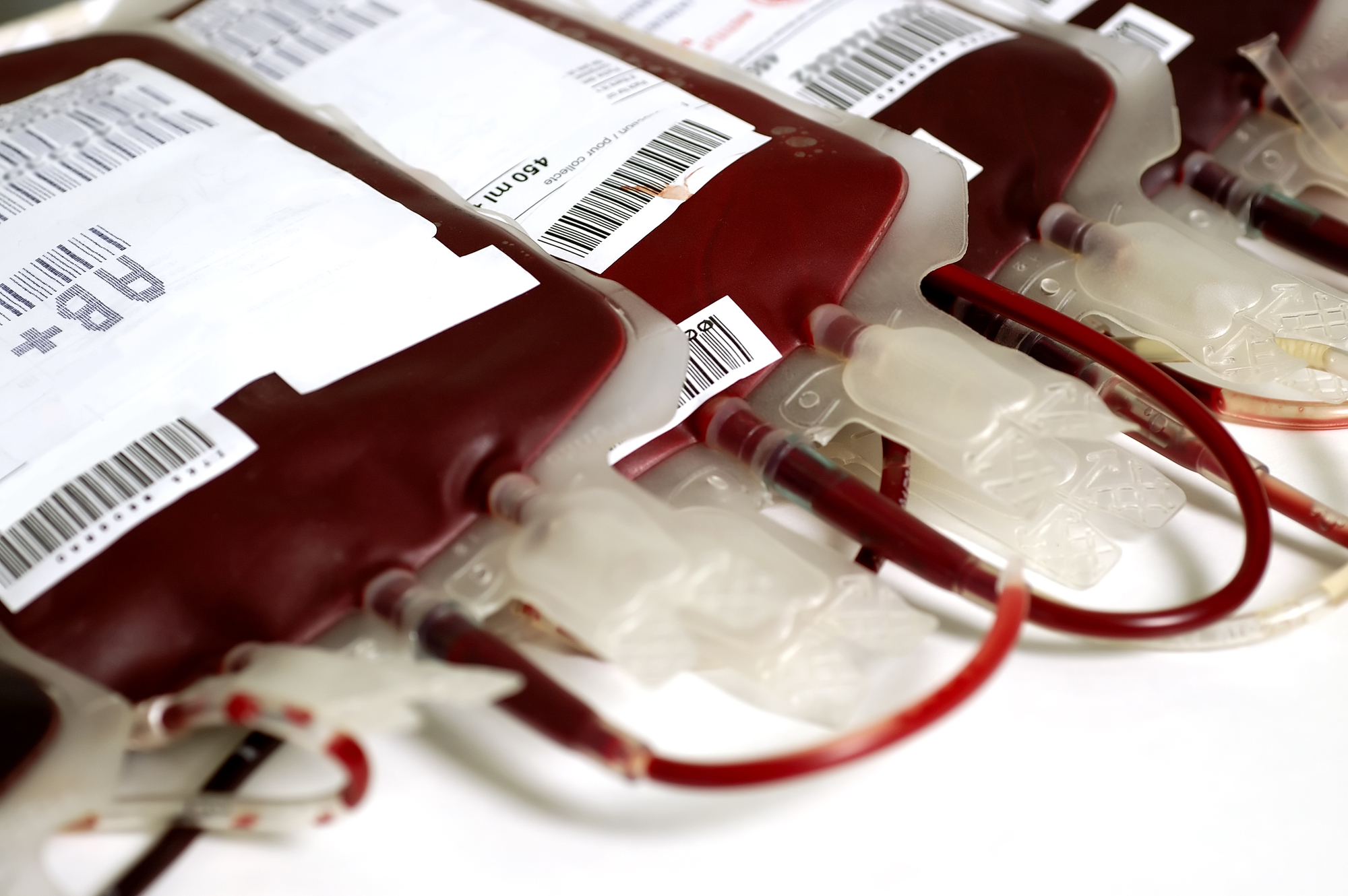 Desafios da Doação de Sangue no Período de Férias