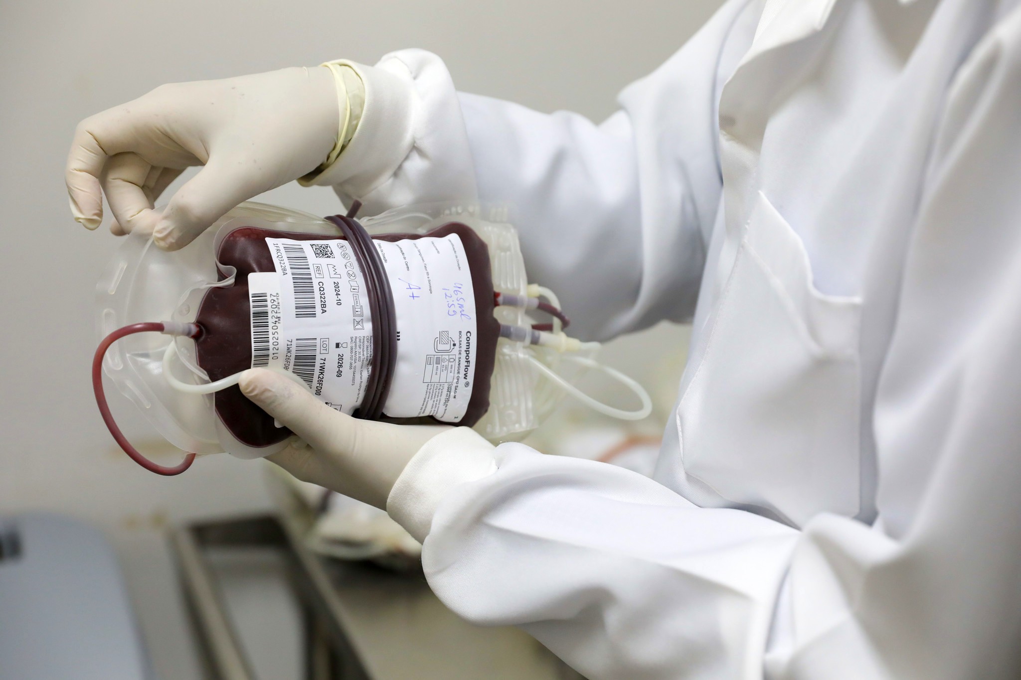 Hemocentro de Brasília e Fepecs abrem inscrições para 3ª turma de curso online sobre transfusão de hemocomponentes