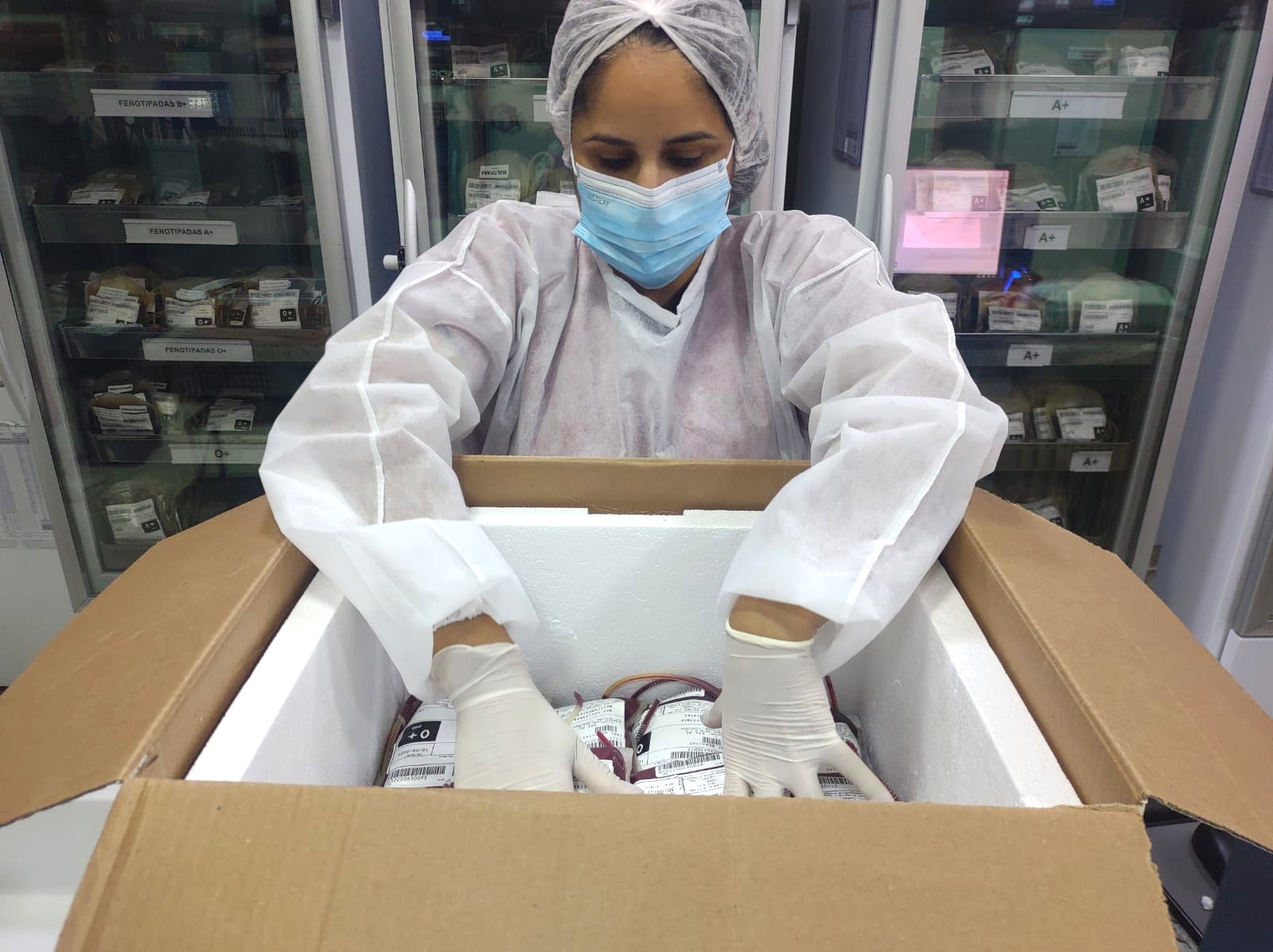 Hemocentro de Goiás reforça estoques de Pernambuco e Rondônia com 300 bolsas de sangue