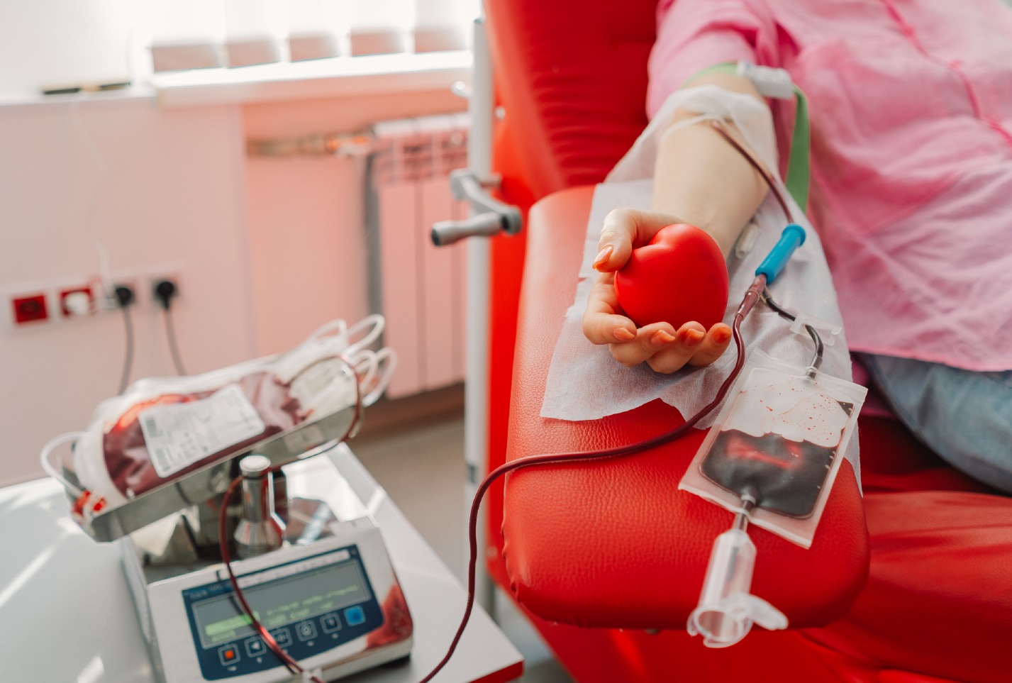 Nova portaria atualiza regulamento técnico da hemoterapia no Brasil